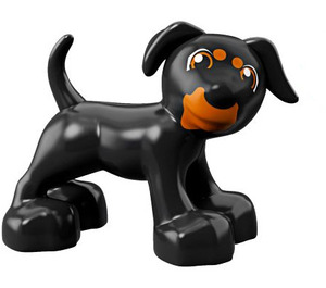 Duplo Zwart Hond met Oranje Gezicht Patches (58057)