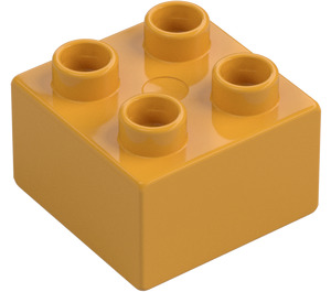 Duplo Karri Kloss 2 x 2 (3437 / 89461)