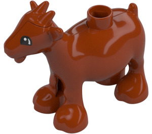 Duplo Arancione scuro Goat (11371 / 34811)