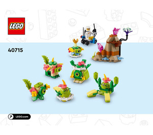 LEGO Alien Pack Set 40715 Instructions