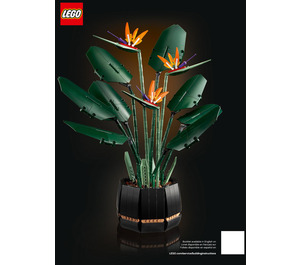 LEGO Bird of Paradise 10289 Anweisungen