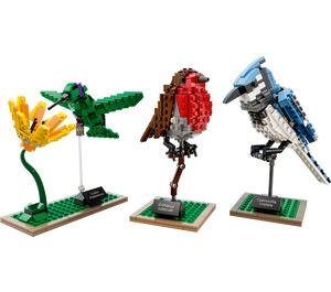 LEGO Birds 21301