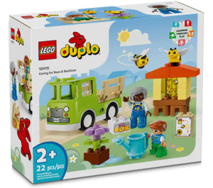 LEGO Caring for Bees & Beehives Set 10419 Packaging
