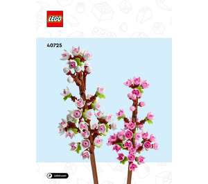 LEGO Cherry Blossoms Set 40725 Instructions