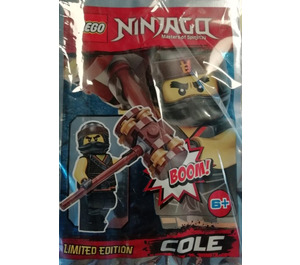 LEGO Cole Set 891839