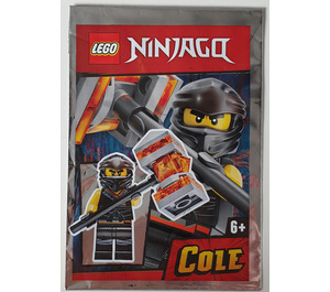 LEGO Cole Set 891953 Packaging