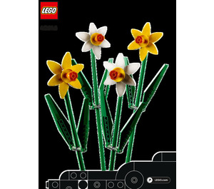 LEGO Daffodils Set 40646 Instructions