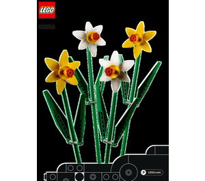 LEGO Daffodils 40646 Istruzioni