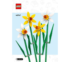 LEGO Daffodils Set 40747 Instructions