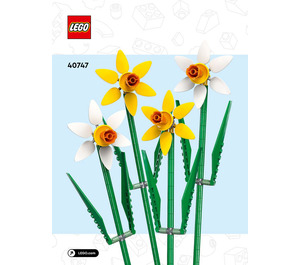 LEGO Daffodils 40747 Anweisungen