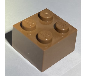 LEGO Mörk hud Kloss 2 x 2 (3003 / 6223)