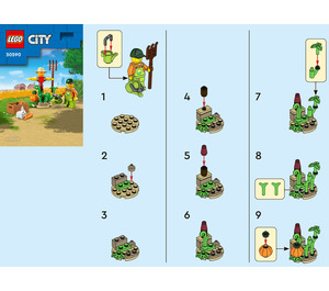 LEGO Farm Garden & Scarecrow 30590 Instructies