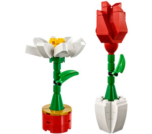 LEGO Flower Display Set 40187