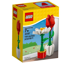 LEGO Blume Display 40187 Packaging