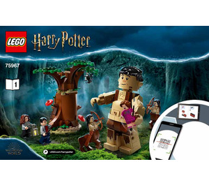 LEGO Forbidden Forest: Umbridge's Encounter 75967 Istruzioni