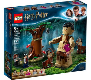 LEGO Forbidden Forest: Umbridge's Encounter Set 75967 Packaging
