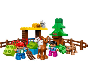 LEGO Forest: Animals Set 10582