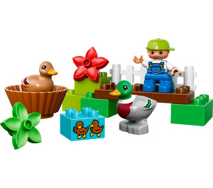 LEGO Forest: Ducks 10581