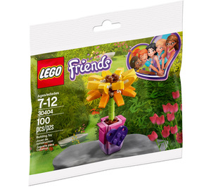 LEGO Friendship Flower Set 30404 Packaging