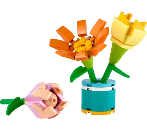 LEGO Friendship Flowers 30634