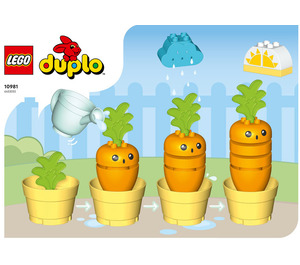 LEGO Growing Carrot 10981 Byggeinstruksjoner