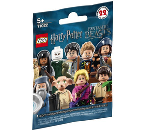 LEGO Harry Potter and Fantastic Beasts Series 1 - Random bag Set 71022-0