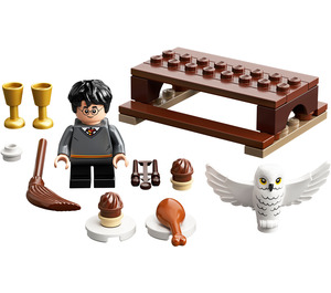 LEGO Harry Potter and Hedwig: Owl Delivery Set 30420