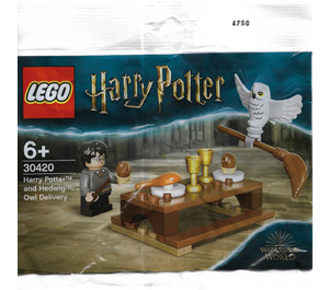 LEGO Harry Potter en Hedwig: Uil Delivery 30420 Packaging