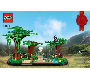 LEGO Jane Goodall Tribute 40530 Instructions