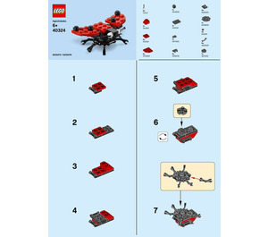 LEGO Ladybird 40324 Istruzioni