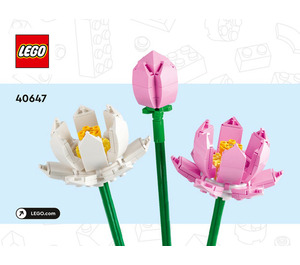 LEGO Lotus Flowers Set 40647 Instructions