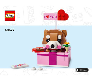 LEGO Love Gift Box Set 40679 Instructions