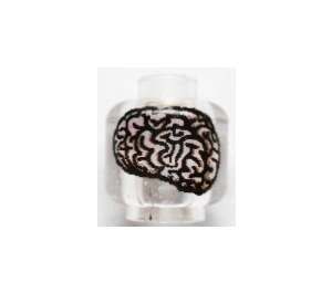 LEGO Minifigure Head with Brain Pattern (Safety Stud) (3626)