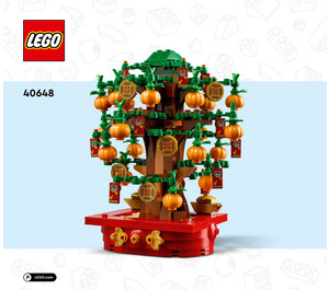 LEGO Money Baum 40648 Instructions