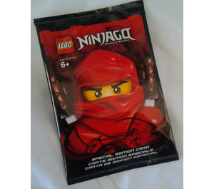 LEGO Ninjago Special Edition Card Équipement (2855165)