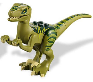 LEGO Verde oliva Raptor