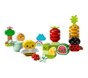 LEGO Organic Garden Set 10984