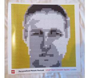 LEGO Personalised Mosaic Portrait Set 40179 Instructions