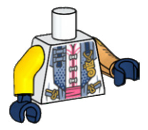 LEGO Sora Torso (973)