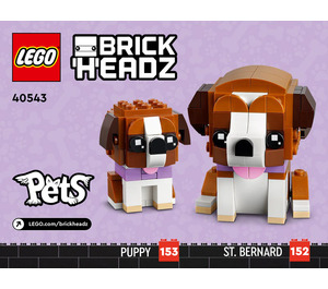 LEGO St. Bernard Set 40543 Instructions