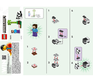 LEGO Steve en Baby Panda 30672 Instructions