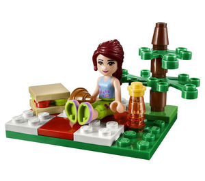 LEGO Summer Picnic Set 30108