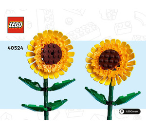 LEGO Sunflowers 40524 Instructies