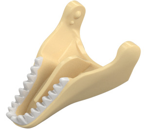 LEGO Beige T-rex Mascella con Bianco Denti (20959 / 38773)