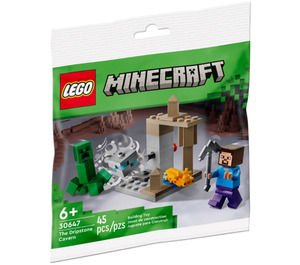 LEGO The Dripstone Cavern Set 30647 Packaging