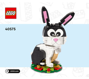 LEGO Year of the lapin 40575 Instructions