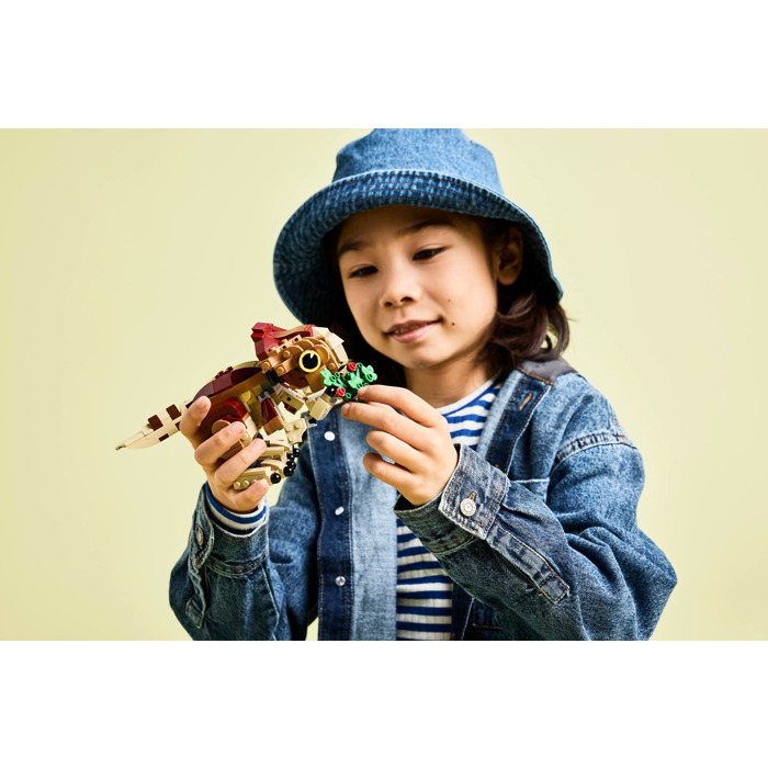 LEGO Baby Dinosaur Dolores: Aquilops Set 76970 | Brick Owl