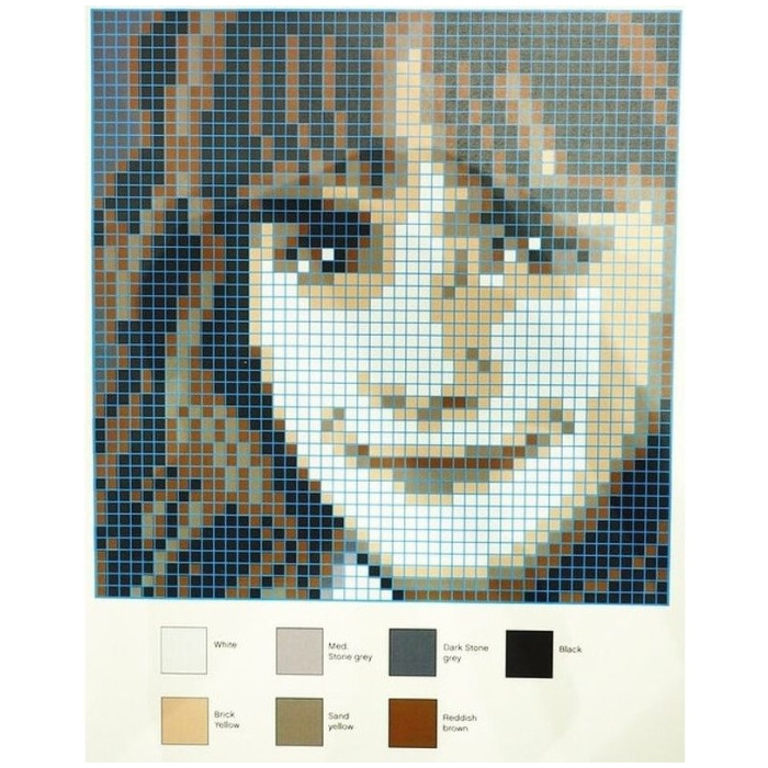 Debbie Harry True Colors Edition Mosaic Brick Art Mosaïque avec plaques  standard 2968 LEGO compatibles – Plats / 100 x 100 pièces 80 x 80 cm :  : Jeux et Jouets