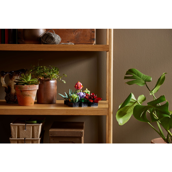 LEGO 10309 Icons Les Succulentes: Plantes Artificielles, Décoration de  Maison, Collection Botanique, 9 Petites Plantes, Idéal pour Intérieur,  Modèle