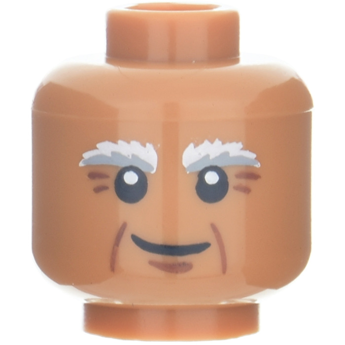 LEGO Vitruvius Head with Bushy Eyebrows (Recessed Solid Stud) (3626